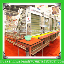 Super quality farm equipment chicken egg collecting system